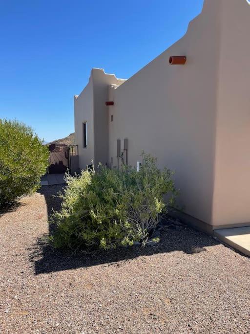 Tucson Mnt Foothills Saguaro Bliss Villa Bagian luar foto