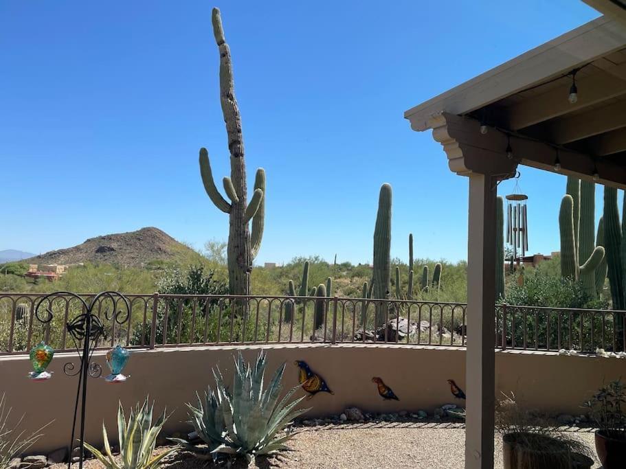 Tucson Mnt Foothills Saguaro Bliss Villa Bagian luar foto