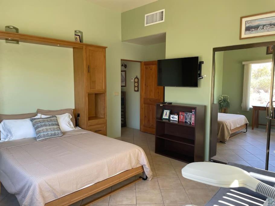 Tucson Mnt Foothills Saguaro Bliss Villa Bagian luar foto