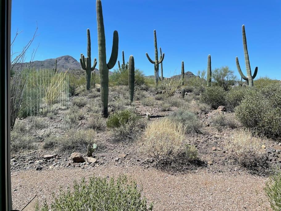 Tucson Mnt Foothills Saguaro Bliss Villa Bagian luar foto