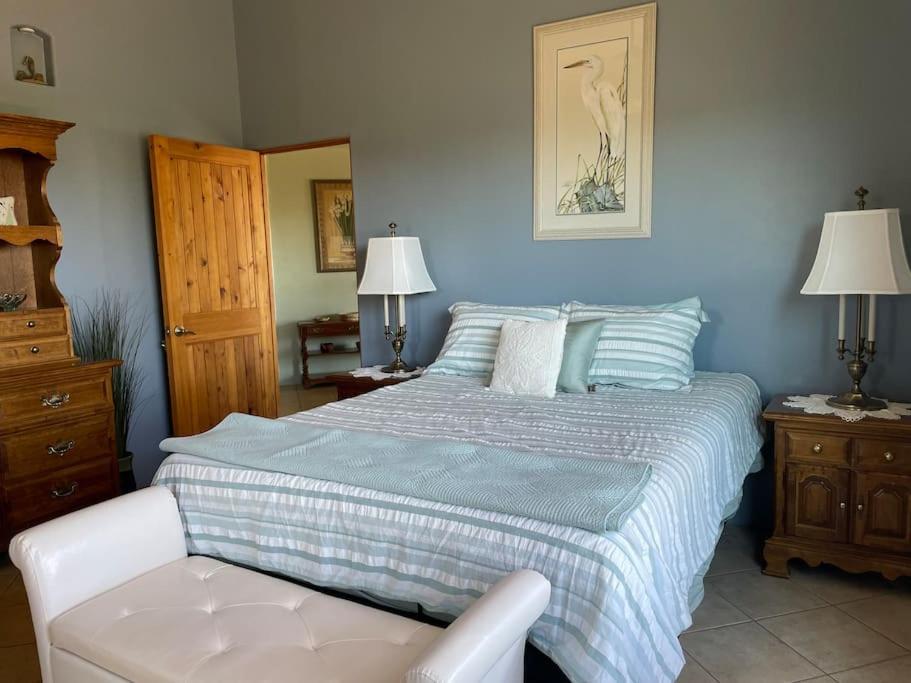 Tucson Mnt Foothills Saguaro Bliss Villa Bagian luar foto