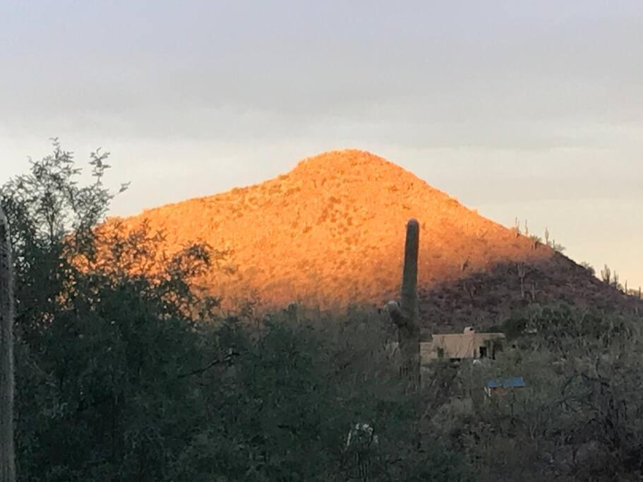 Tucson Mnt Foothills Saguaro Bliss Villa Bagian luar foto