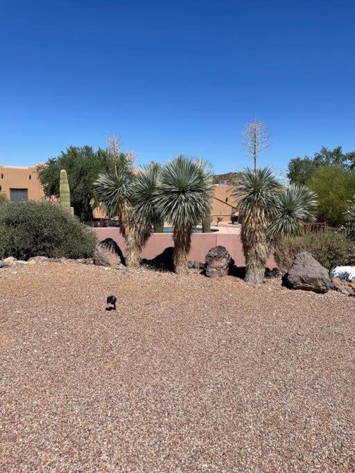 Tucson Mnt Foothills Saguaro Bliss Villa Bagian luar foto