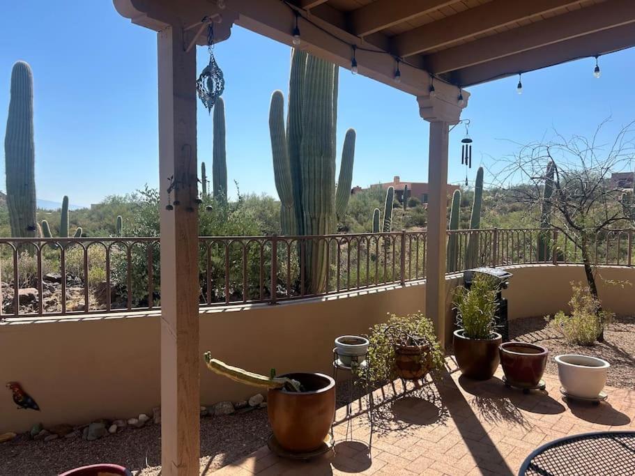 Tucson Mnt Foothills Saguaro Bliss Villa Bagian luar foto